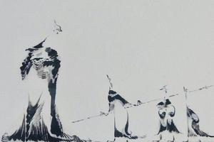 我的小鸟们