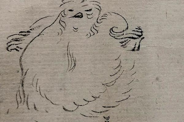 我的小鸟们