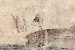 我的小鸟们