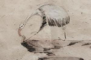我的小鸟们