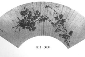 花卉