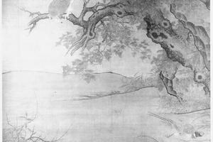 枫鹰雉鸡