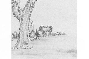 柳坡憩马图