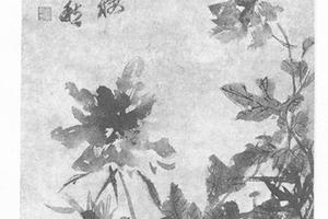 牡丹图