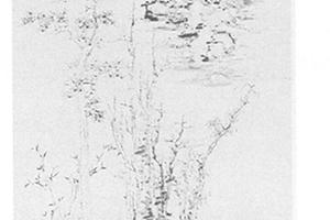 仿倪瓒山水图