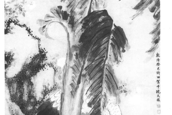 芭蕉仙鹤轴