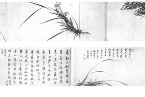 兰花