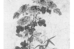 竹菊图
