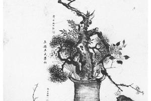 瓶供图轴