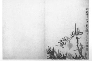 花卉十二开