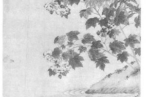花鸟通景