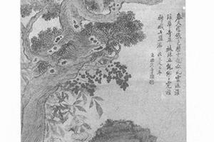 临宋人花卉图