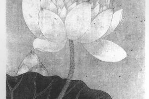 荷花双蝶图轴
