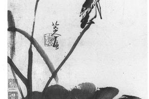 荷花翠乌图轴