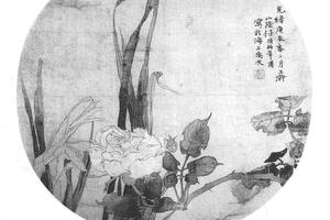 蔷薇