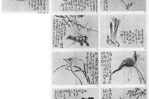 杂画册