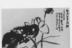 荷花图