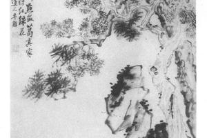 松柏蕙石图