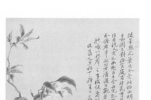 花卉图册页