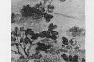 牡丹图