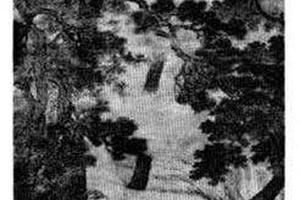 山水人物圈