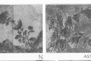 菊图册页·芭蕉图册页
