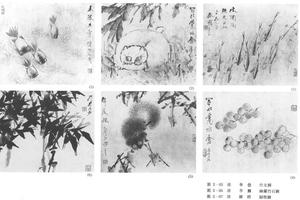 杂画十二开