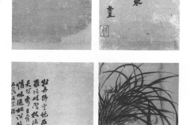 花石四条
