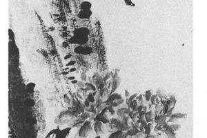 芍药图
