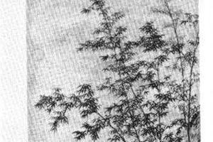 修竹造山图