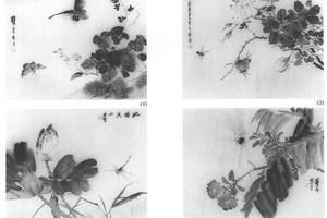 杂画四十八开