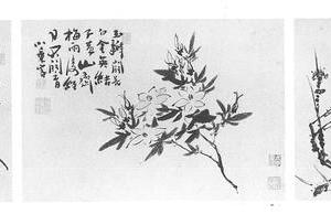 花卉图册