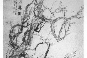 竹荫西晒图