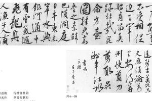 行草书杜诗