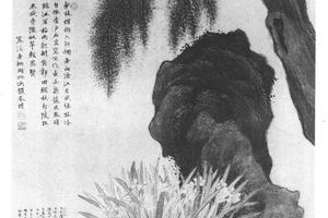 水仙柏石图