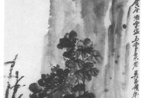 芍药石头图