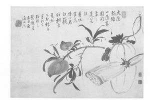 花果图