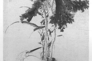 荷花鹭鸶图