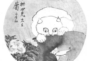 白猫菊花