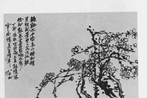梅华图