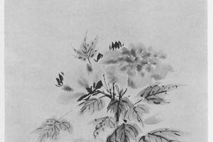 芙蓉图