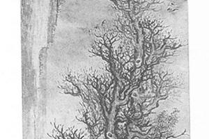 枯木群鸦图