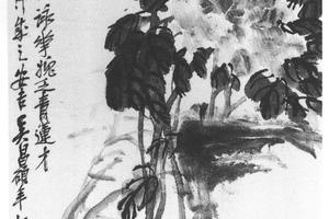 牡丹轴