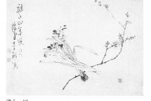 梅花水仙