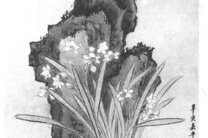 水仙