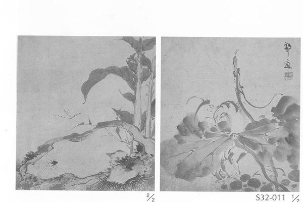 花鸟草虫图册页(二页)