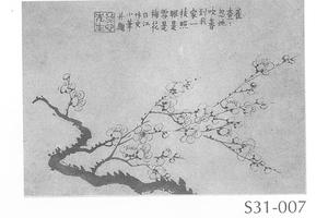 墨梅图册页