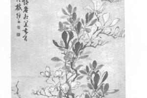 玉兰图