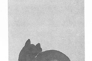 猫图