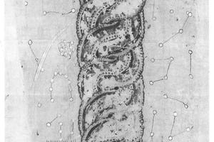 新疆时峪沟出土伏羲女娲图片